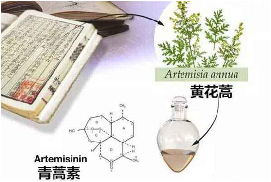 华球体育平台,华球体育（中国）：向中医药看齐，与世界共享中医药文化(图1)